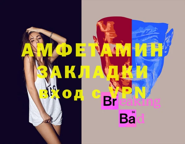 гидра Коряжма