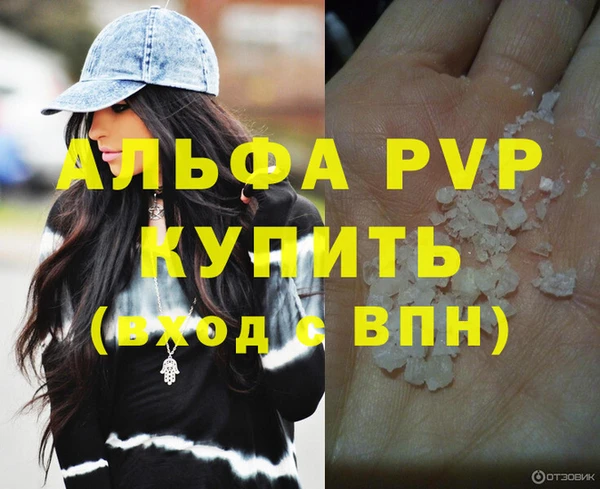 гидра Коряжма