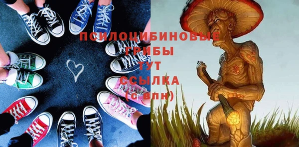 дживик Костерёво