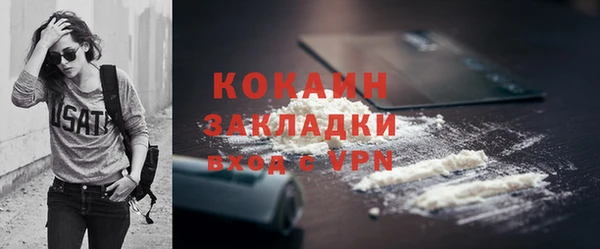 дживик Костерёво