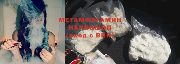 гидра Коряжма
