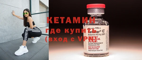 гидра Коряжма