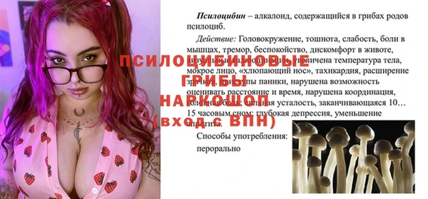 дживик Костерёво