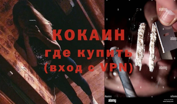 мяу мяу кристалл Корсаков
