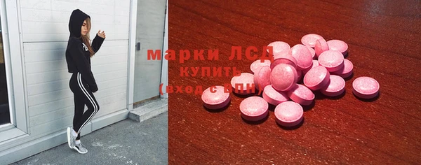 гидра Коряжма