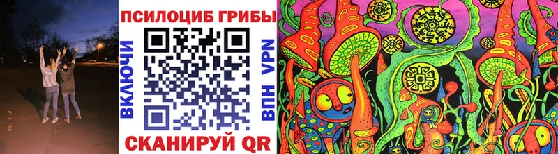 где продают   Котовск  Галлюциногенные грибы прущие грибы 