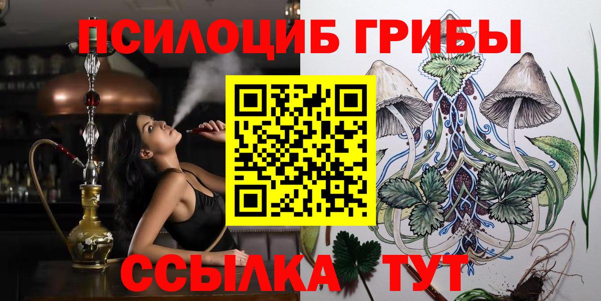 Галлюциногенные грибы Psilocybine cubensis Котовск