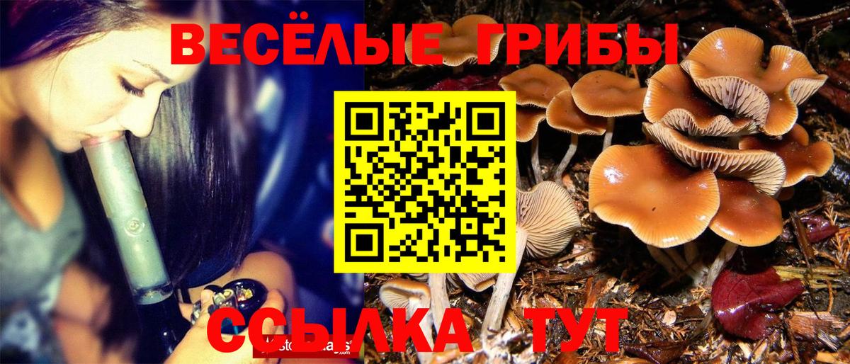 МДМА  ГЕРОИН  Вход с VPN  Экстази  Cocaine  Меф МЯУ МЯУ   Котовск  Каннабис 