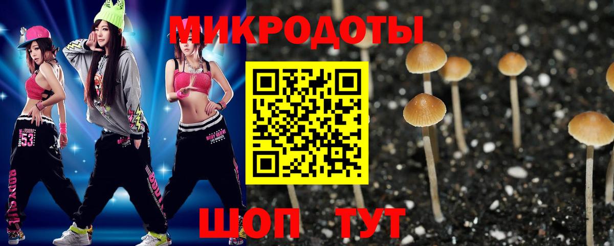 Псилоцибиновые грибы Magic Shrooms  Вход с VPN  Котовск 